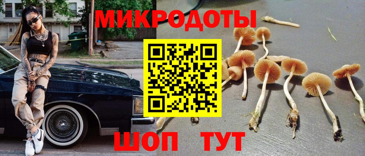 Псилоцибиновые грибы мухоморы  Вход с VPN  Медногорск 